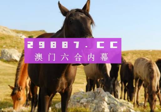 澳门与香港管家婆一肖一码一中一|精选解析解释落实