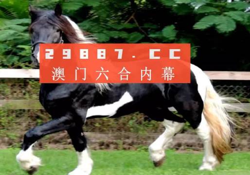 澳门与香港一肖一码一待一中|精选解析解释落实