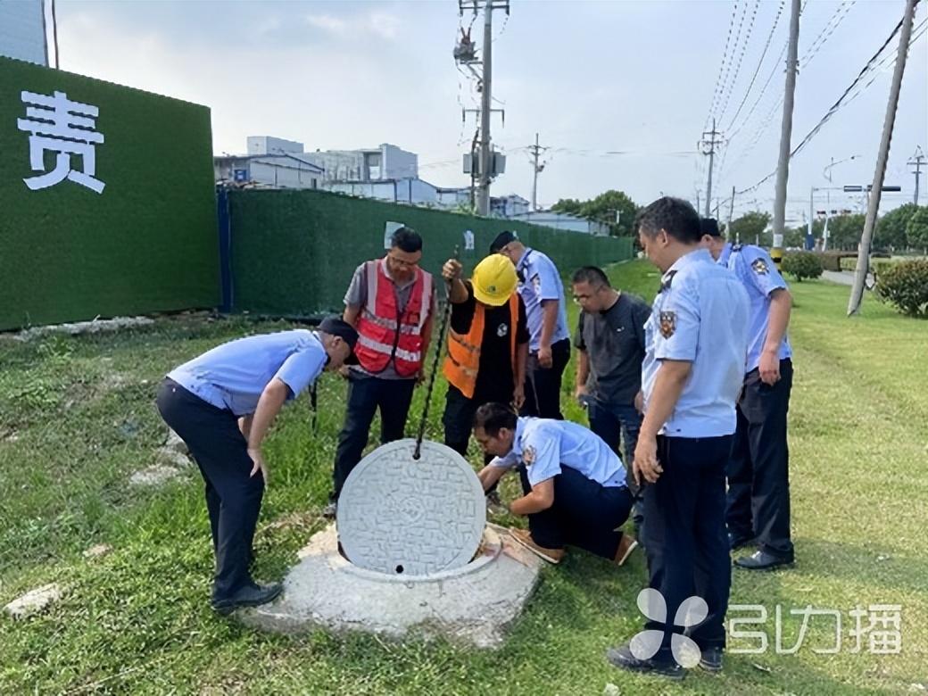 太仓陆渡最新招聘动态及其影响