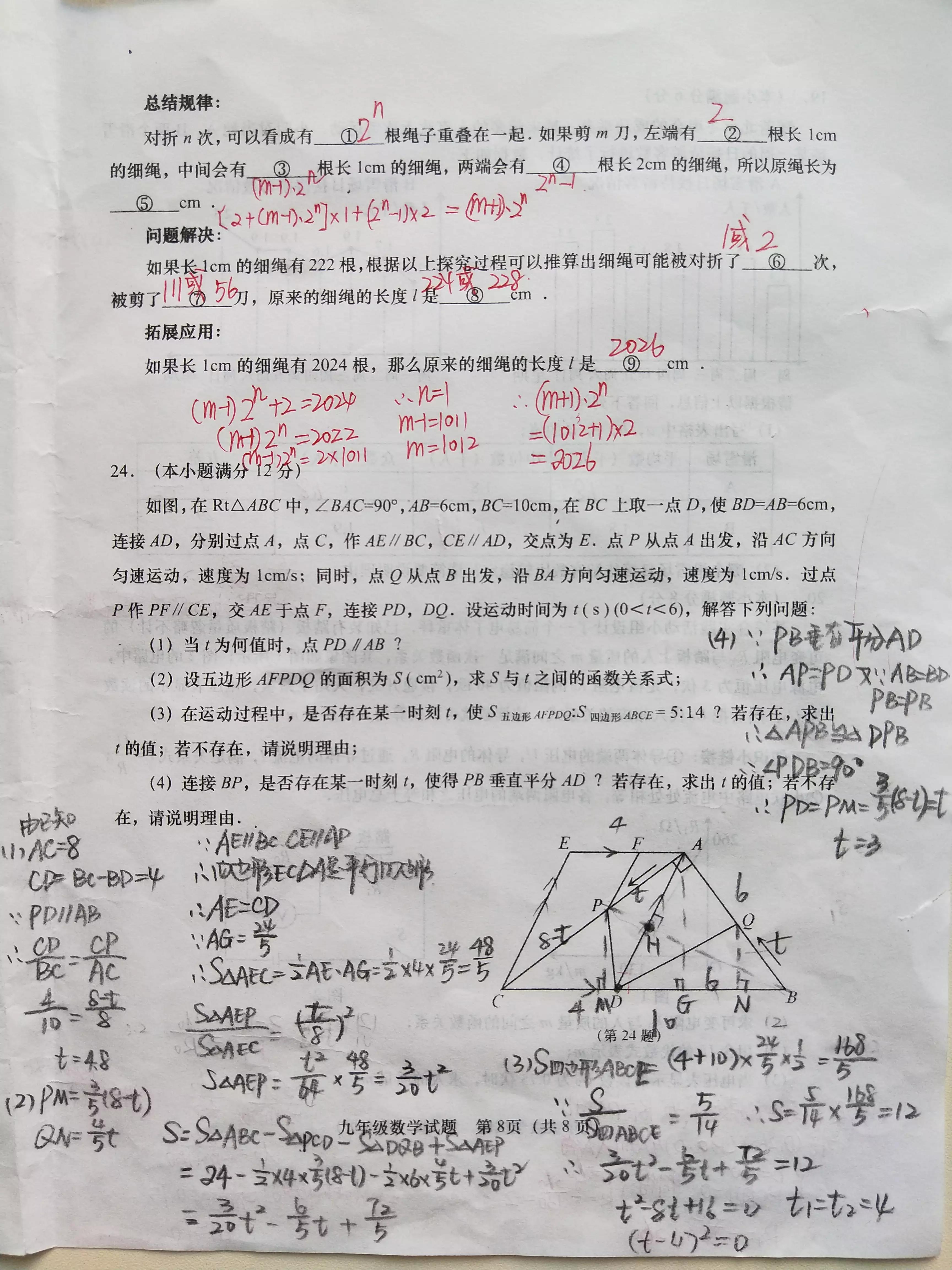 中考冲刺，最新中考模拟示范卷解析与备考策略