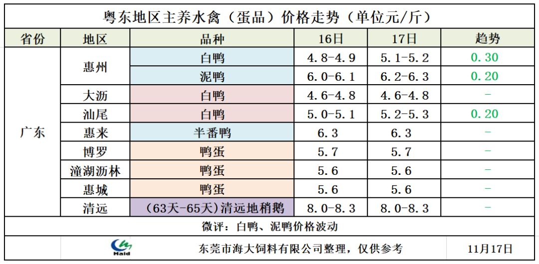 广东今日毛鸭最新价格动态及市场分析