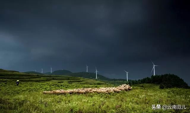 武倘寻高速最新动态，建设进展与未来展望