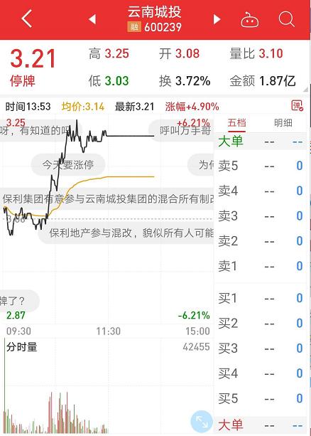 最新云南城投停牌原因深度解析