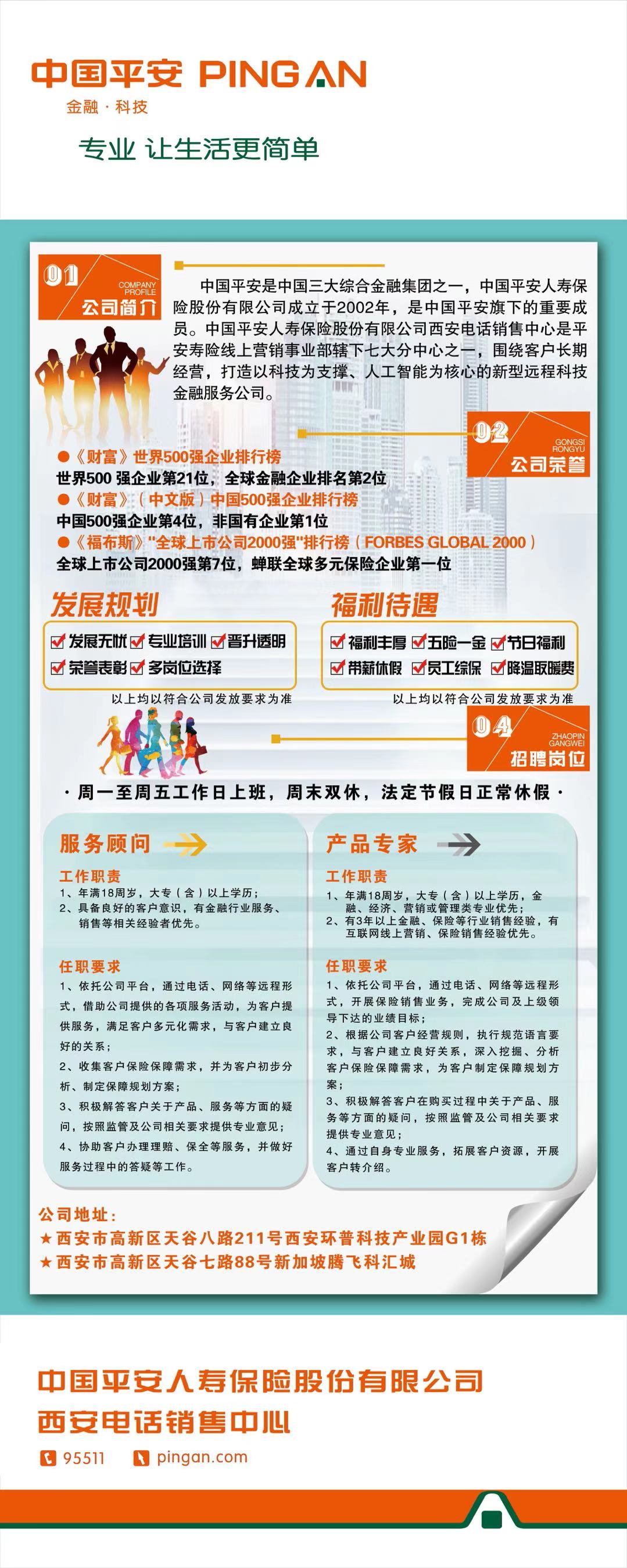 长清平安最新招聘信息及其相关解读